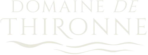 Logo Domaine de Thironne Crème