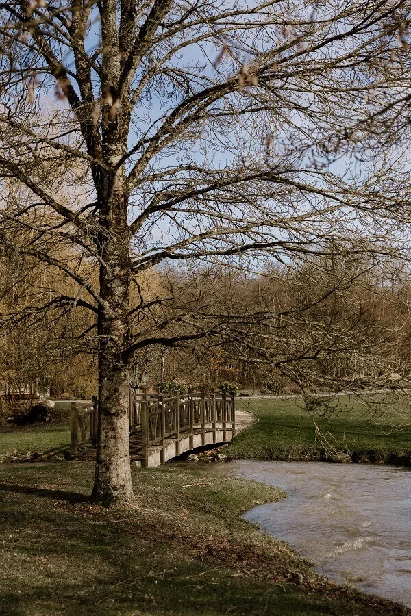 arbre domaine parc