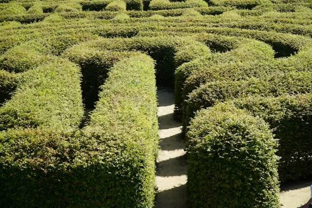 labyrinthe domaine