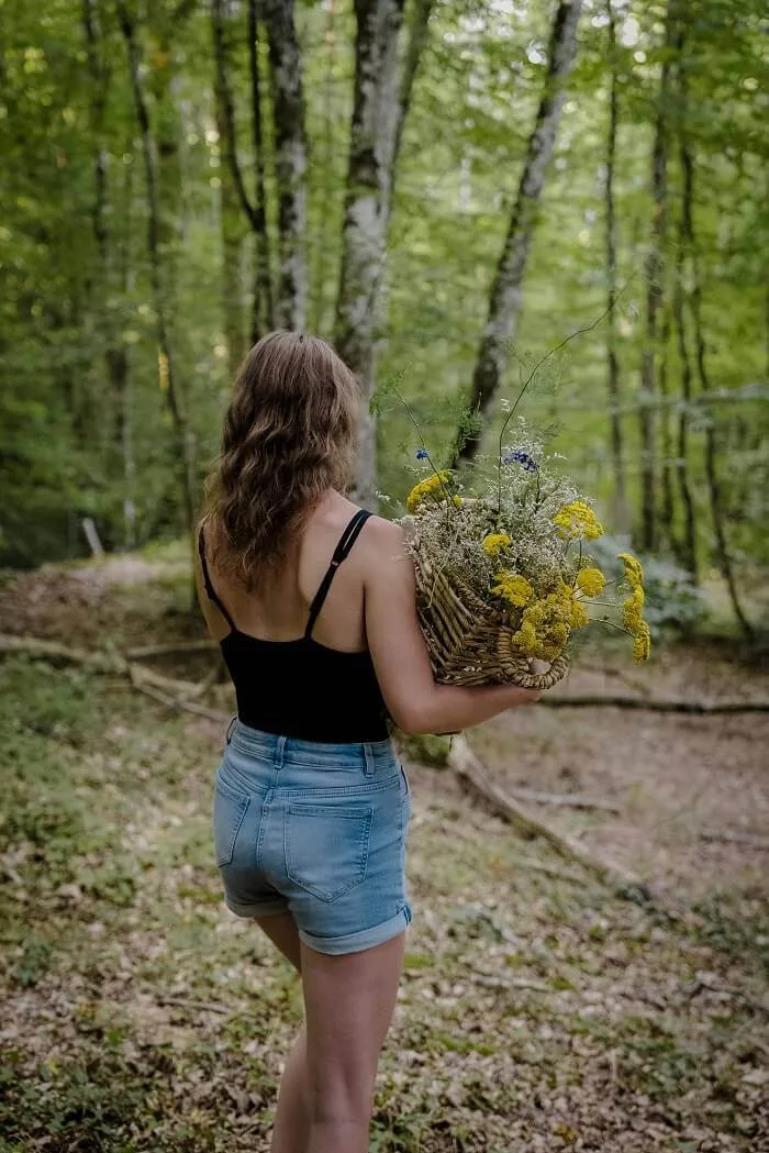 activites nature teambuilding